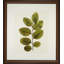 A Little Piece Of Nature VI Print