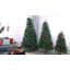 Arbre de Noël épinette Nyle-1405772839