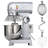 Stellweilan Tessberg Stand Mixer