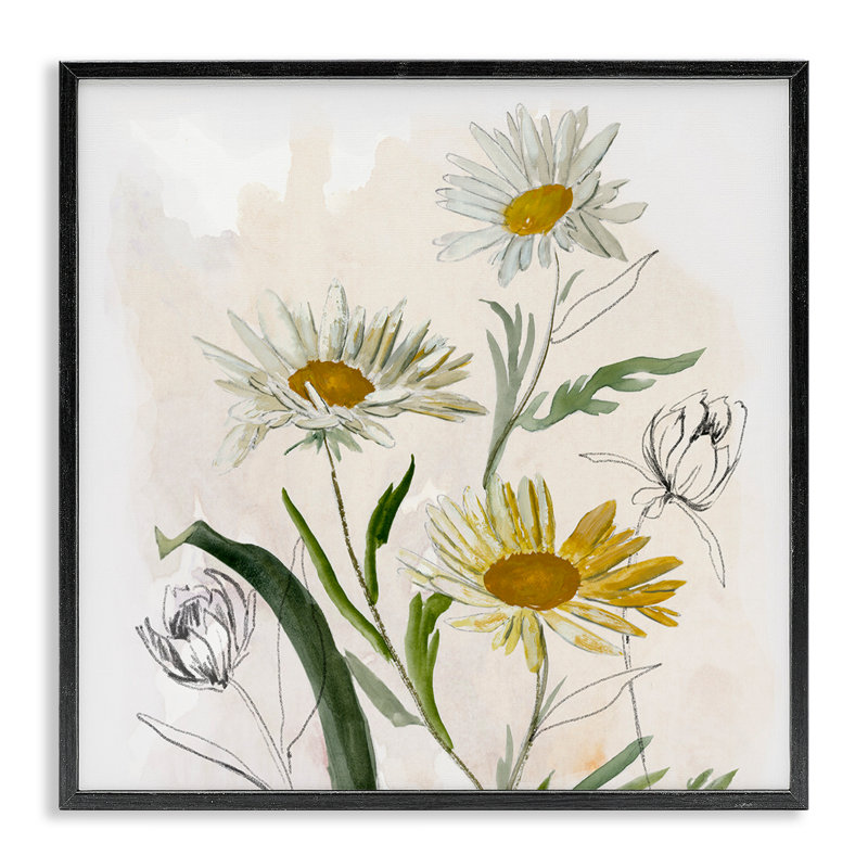 «Pure Simplicity Daisies», estampe numérique, conception de Jacob Q, Giclée encadrée noir minuit, H 12 po x l 12 po