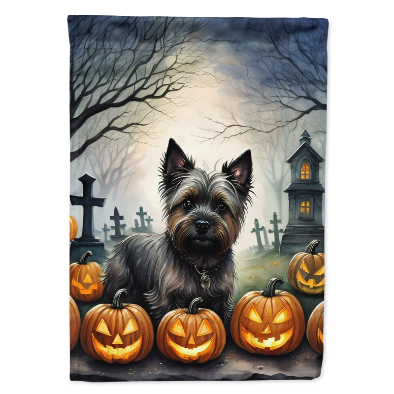 Drapeau de maison d'Halloween en polyester à double face H 40 po x l 28 po