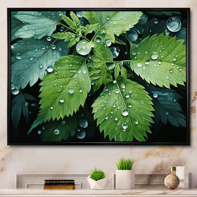 Ferns Plant Gossamer Veil I - impression, Cadre flottant noir, H 34 po x l 44 po x P 1,5 po