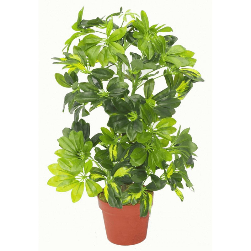 Ananias 75cm Faux Foliage Plant in Pot