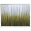 Herbe de mer, herbe de plage, prairie, vert, jaune-780349044-674884324-674884320