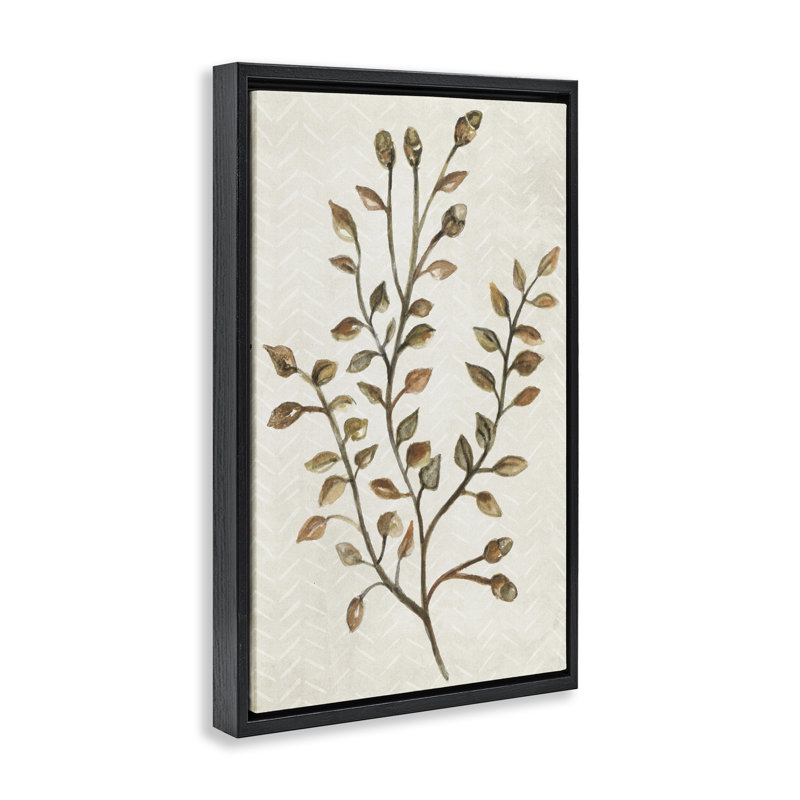 «Garden Botanics Sprig», toile flottante encadrée par Janice Gaynor, Cadre flottant noir de jais, H 25 po x l 17 po