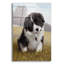 «Border Collie Puppy» par John Silver-1459850064