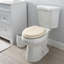 Round Toilet Seat and Lid-52588545