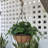 Handmade Metal Hanging Planter-1150030944