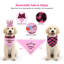 Ensemble de tenue d'anniversaire pour chien