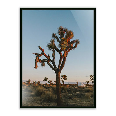 Camp Print by Wesley And Emma Teague