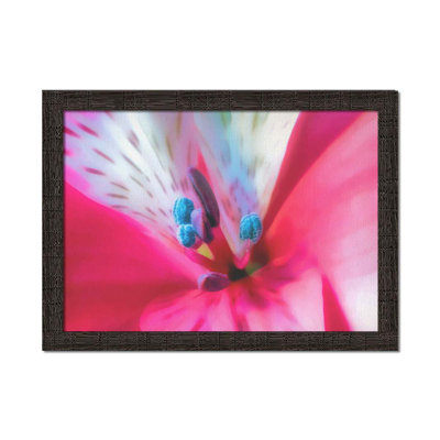 Sensuosity by Hal Halli. Paper Print - Mounted & Framed