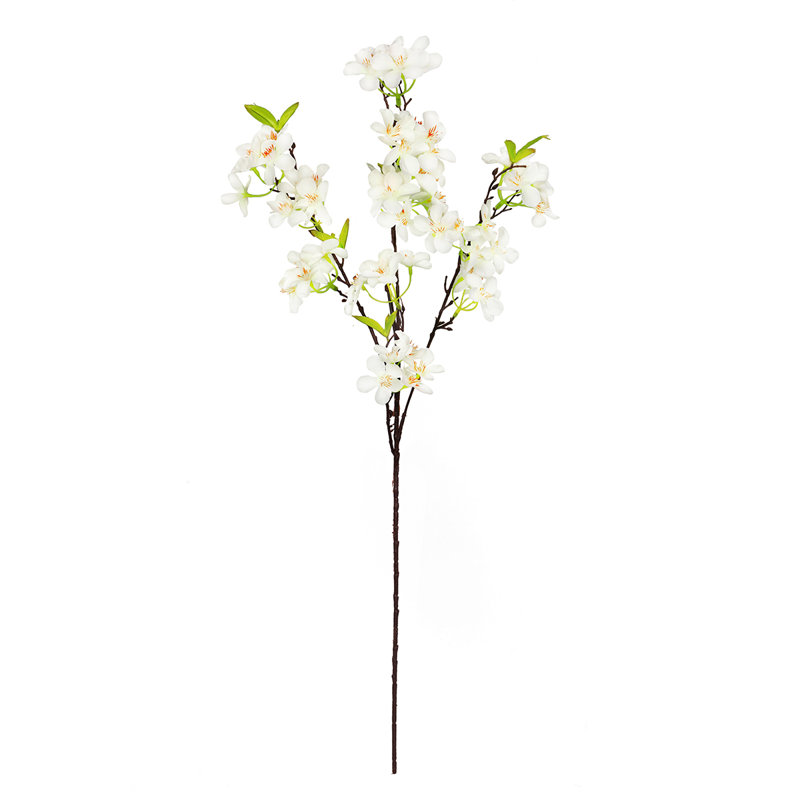 Tige de pommier, Blanc crème