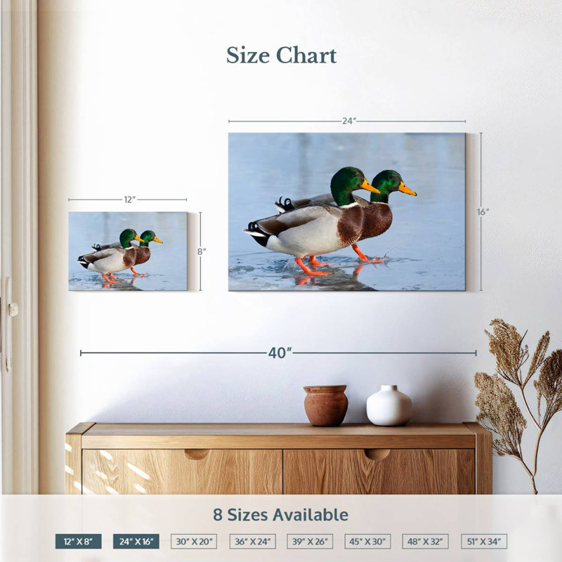 Brampt Mallard Duck Duo, 16" H x 24" W