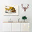 Lion Illustration by Charles D Orbigny - Wrapped Canvas-55365363