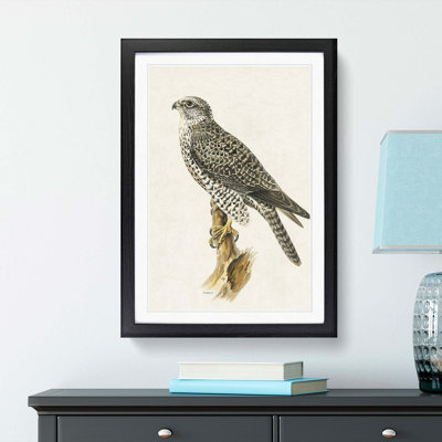 Gyrfalcon by Von Wright - Picture Frame Painting Print