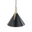 Tescott Iron LED Armed Sconce