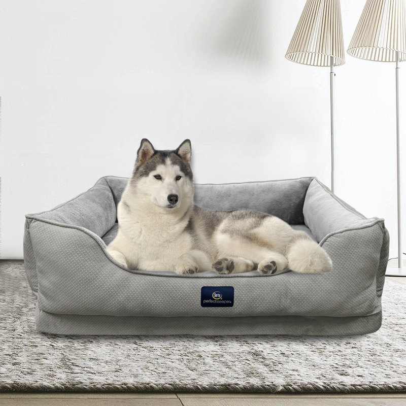 Lit pour chien Serta Ortho Cuddler, Gris, H 10 po x l 46 po x P 34 po