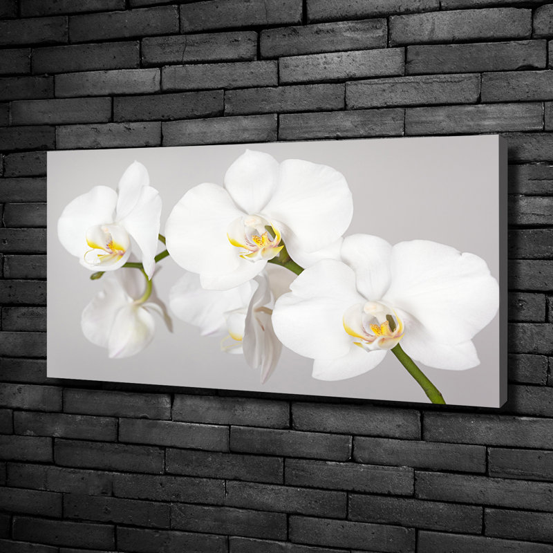 Orchid - Print, Canvas, 50cm H x 100cm W x 2cm D