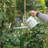 Wrendale Designs Watering Can