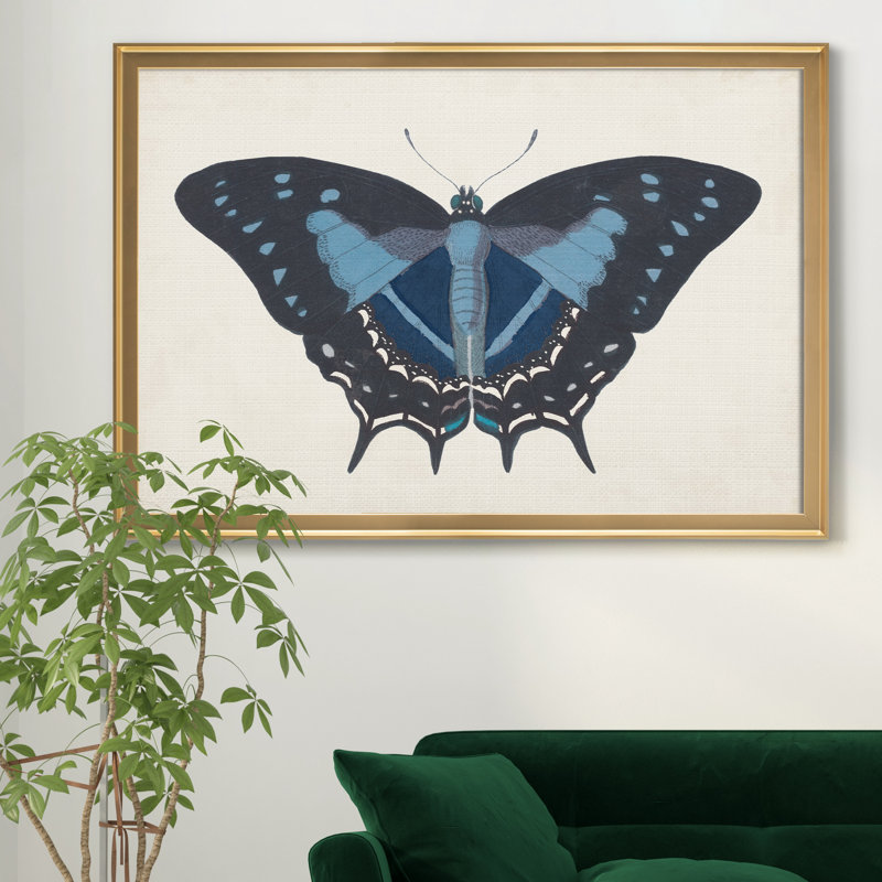 «Beautiful Butterfly III», impression sur toile encadrée, Doré, H 30,5 po x l 42,5 po x P 1,5 po