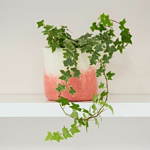 Plant Stand, Peach