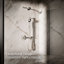 Douche à main à fonction unique déclaration Ves 1,5 gallons par minute-69931036