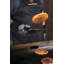Gants de cuisson Blackstone Griddle Essentials