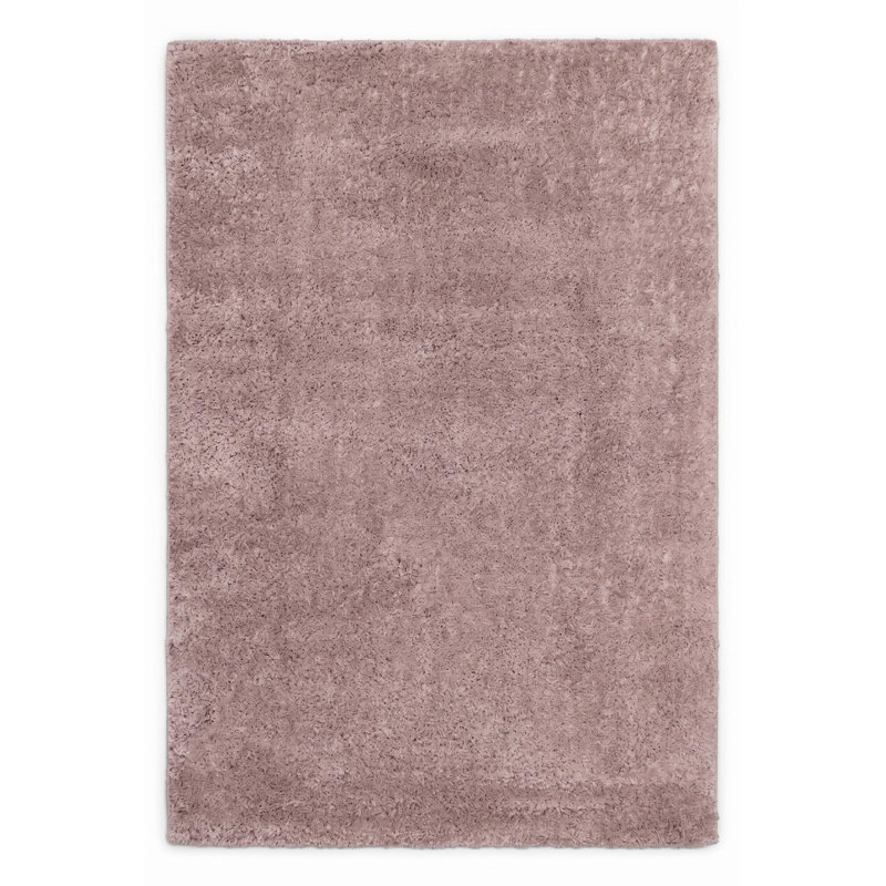 4' X 6' Pink Area Rug