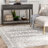 Reanna Light Gray Area Rug-1615541649