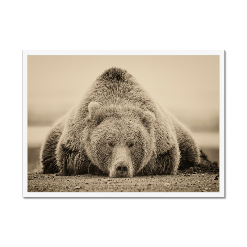 Deep Sleep by PHBurchett - Print, 34cm H x 50cm W, White Framed Paper Print