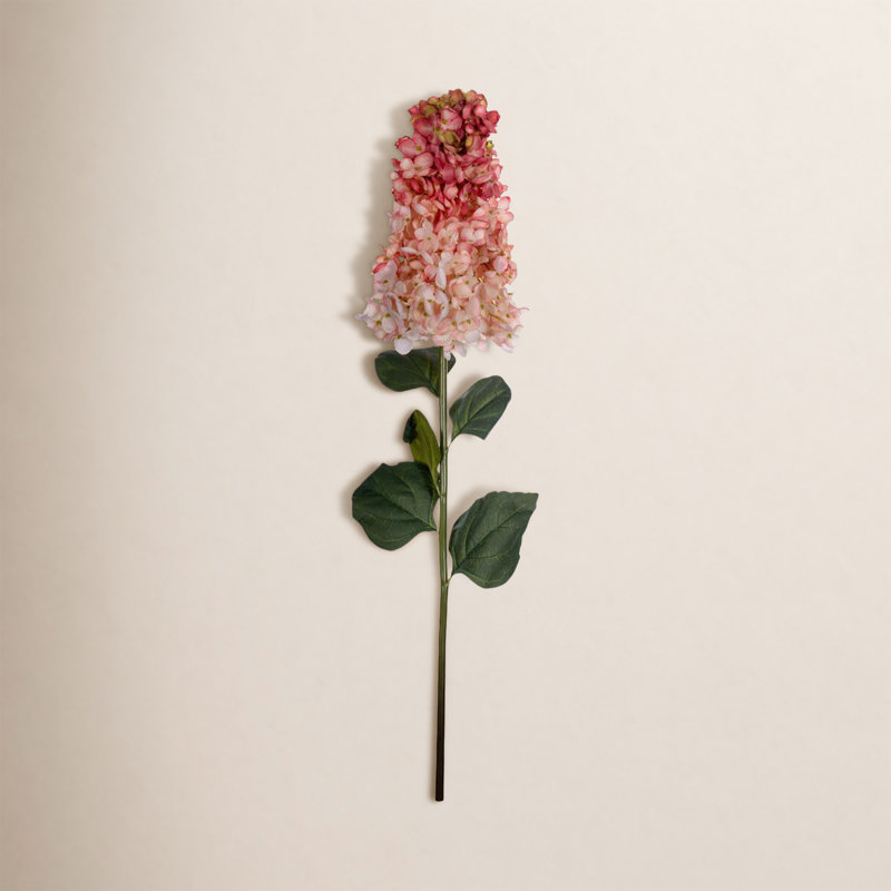 Tige d'Hortensia Milnor, Saumon
