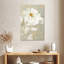 Harnek White Rose II-108248507