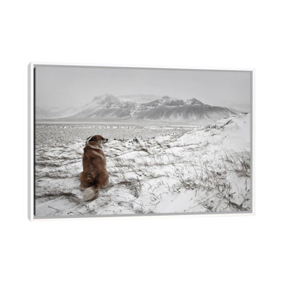Snowstorm by Bragi Ingibergsson - Print on Canvas