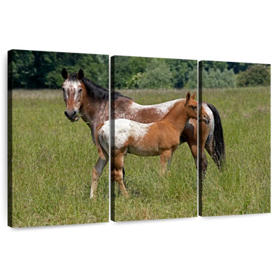 Brampt Appaloosa Horse And Foal