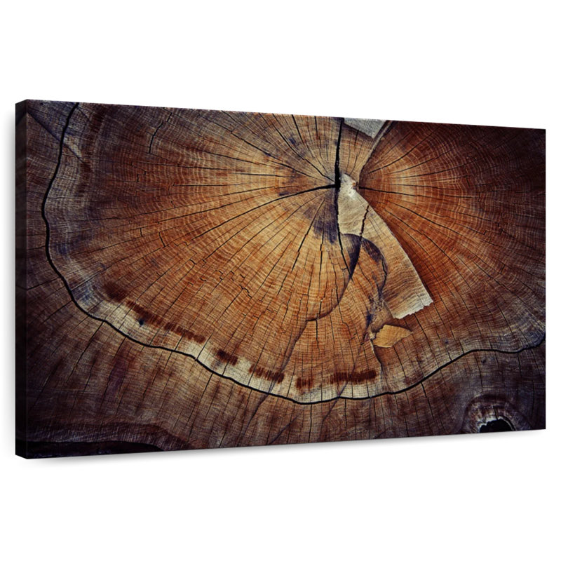 Tree Ring Texture, 16" H x 24" W