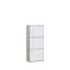 Raiana 12 Pair Shoe Storage Cabinet