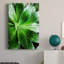 Green Tropical Succulent V - Photographie sur toile tendue-1329014534
