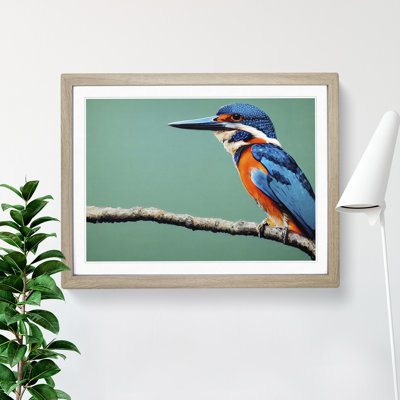 Head Turning Kingfisher Bird - Single Picture Frame Print