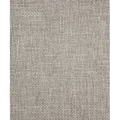 Abby Park Fabric