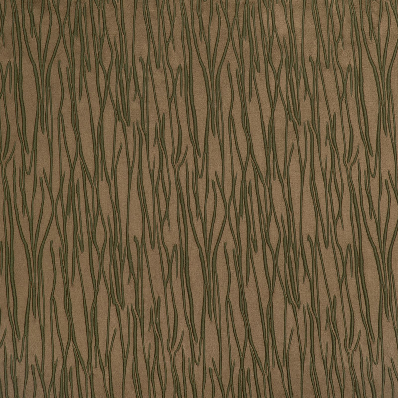 Twigs, Savanna