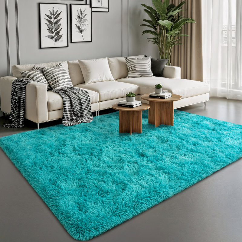 Shag Area Rugs for Living Room, 4x6 ft Soft Fluffy Rugs for Bedroom, Nursery, Kids Room Home Decor, Teal Blue