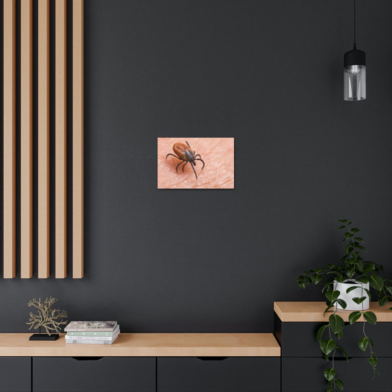 No Frame Print on Canvas