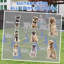 30cm H Plastic Dog Agility-115359578
