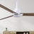Alessandra 72'' Ceiling Fan-670286135-615459970