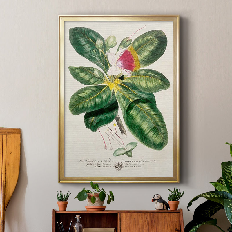 Imperial Tropical Botanical I, reproduction d'art encadrée, Or, H 42,5 po x l 30,5 po x P 1 po