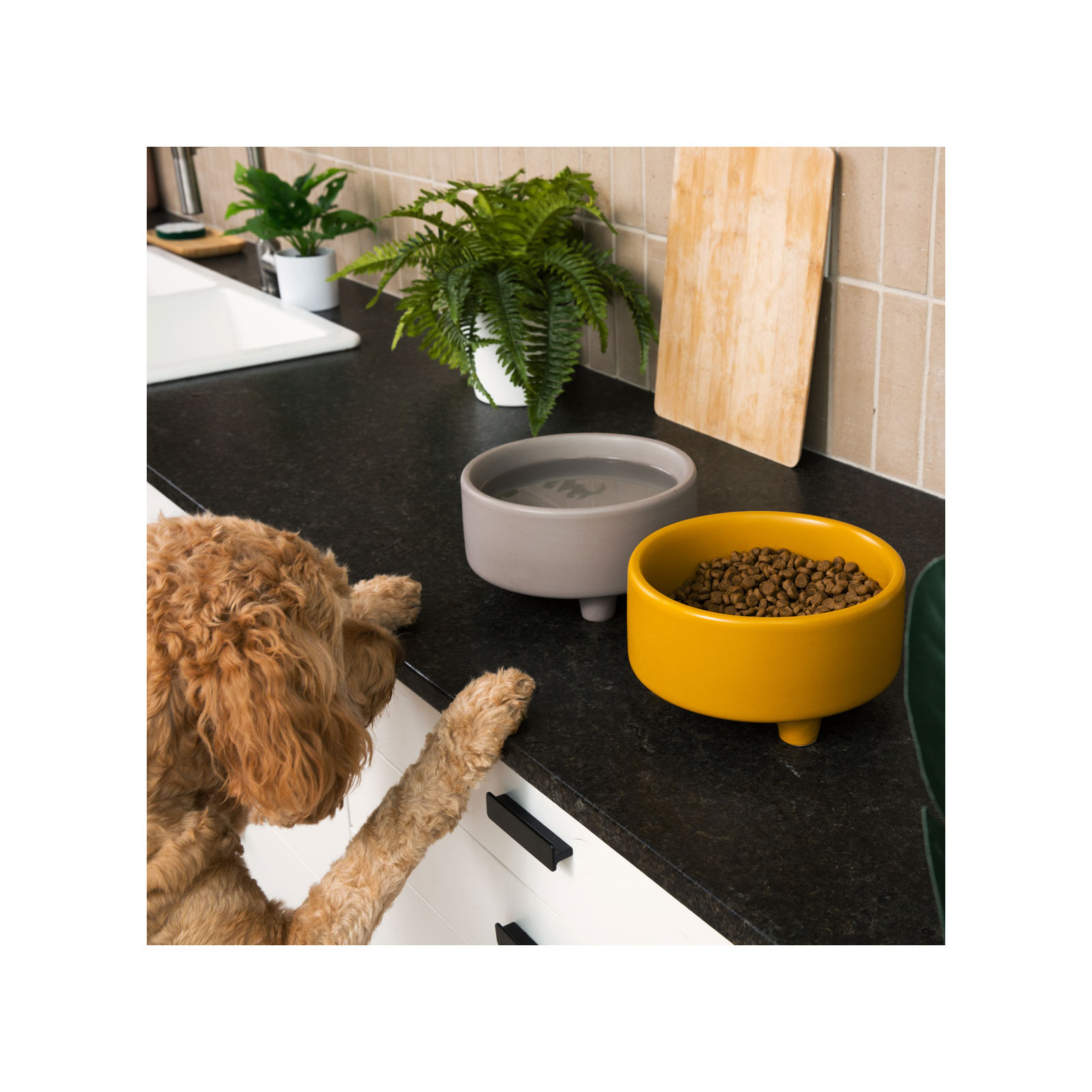 Uplift Ceramic Dog Bowl, Vintage Gray, Large (8 cups / 64 fluid oz)