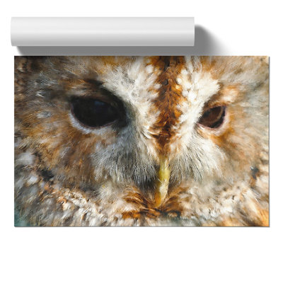 Tawny Owl Painting - Frameless Print