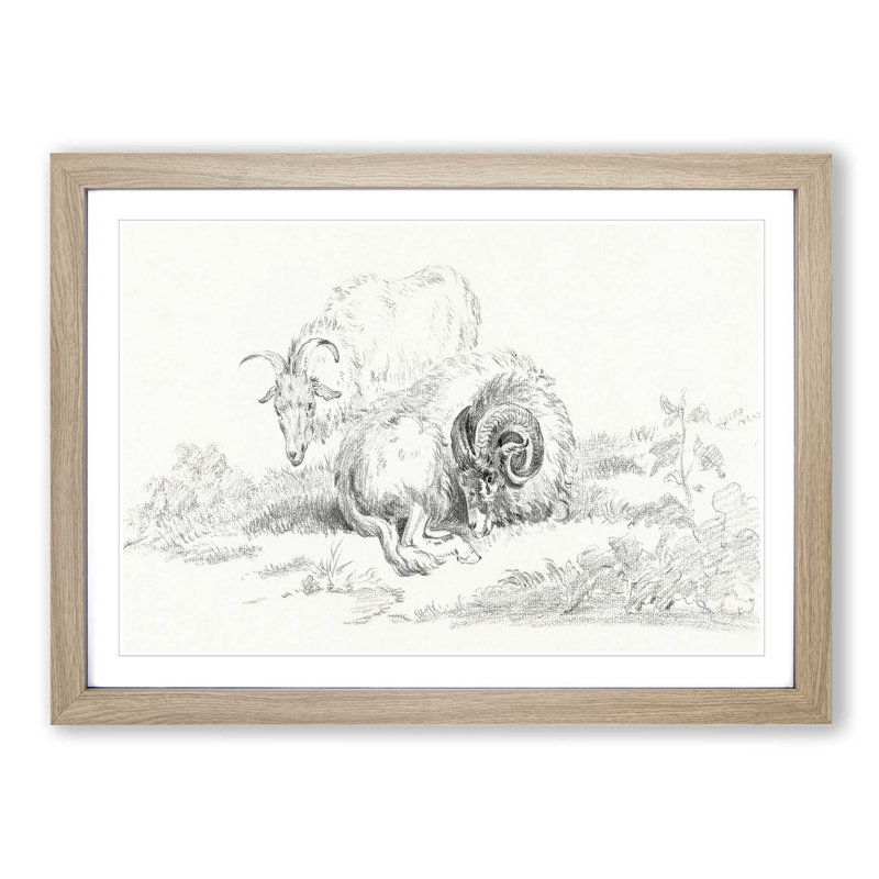 Sketch of Two Goats by Jean Bernard - Picture Frame Drawing Print, 27cm H x 36cm W x 2cm D, Oak Framed