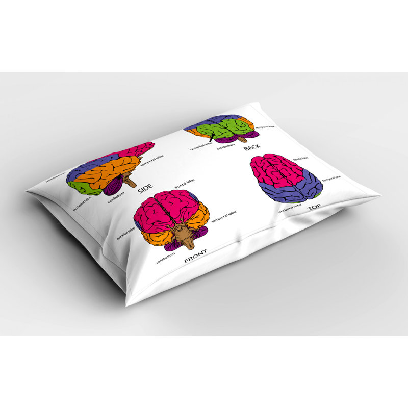 Educational Polyester Sham Set, King