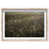 Natural Oak Frame